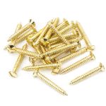 Anvil Csk RaisedHead Screws (25)