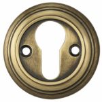 Delamain Euro Profile Escutcheon