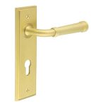 Burlington Highgate Lever on Back Plate
