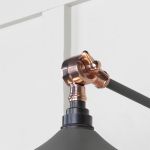 Smooth Copper Flora Wall Light in Bluff