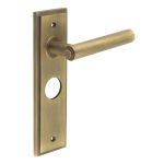 Burlington Richmond Lever on Back Plate