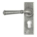 From The Anvil Regency Lever on Backplate Set