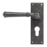 From The Anvil Regency Lever on Backplate Set