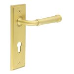 Burlington Highgate Lever on Back Plate