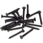 Black 6 x 1¼" Countersunk Screws (25)