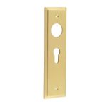 Burlington II Lever Plate Choices