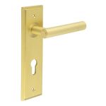 Burlington Richmond Lever on Back Plate
