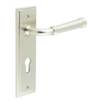 Burlington Highgate Lever on Back Plate