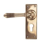 From The Anvil Reeded Lever on Backplate Set