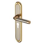 Heritage Brass - Saturn Long Door Handle on Plate