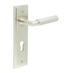 Burlington Piccadilly Lever on Back Plate
