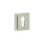 Burlington Euro Profile Escutcheons
