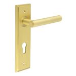 Burlington Richmond Lever on Back Plate