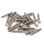 Anvil Countersunk Screws (25)