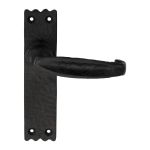 Slimline V Lever on Backplate
