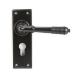 From The Anvil Reeded Lever on Backplate Set