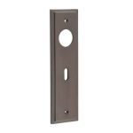Burlington II Lever Plate Choices