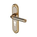 Heritage Brass - Saturn Door Handle on Plate