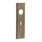 Burlington II Lever Plate Choices
