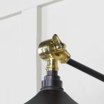 Smooth Brass Flora Wall Light in Elan Black