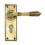 From The Anvil Reeded Lever on Backplate Set