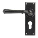 From The Anvil Regency Lever on Backplate Set
