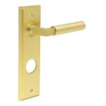 Burlington Westminster Lever on Back Plate