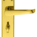 Victorian Lever on Backplate