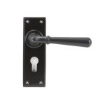 From The Anvil Newbury Lever Set