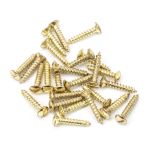 Anvil Csk RaisedHead Screws (25)