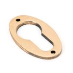 From The Anvil Oval Euro Profile Escutcheon