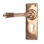 From The Anvil Reeded Lever on Backplate Set