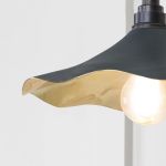 Smooth Brass Flora Wall Light in Soot