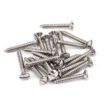 Anvil Csk RaisedHead Screws (25)