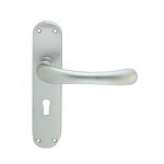 Ibra Lever On Backplate