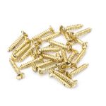 Anvil Csk RaisedHead Screws (25)