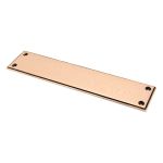 Anvil Art Deco Fingerplate