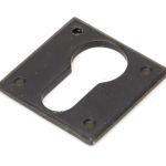 Avon Escutcheon