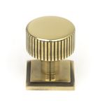 Anvil Judd Cabinet Knob