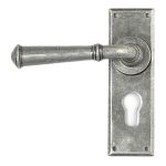 From The Anvil Regency Lever on Backplate Set