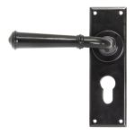 From The Anvil Regency Lever on Backplate Set