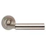 Amiata Lever on Rose