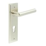 Burlington Richmond Lever on Back Plate