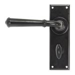 From The Anvil Regency Lever on Backplate Set