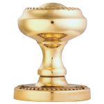 Polished Brass Georgian Mortice Knob Furniture