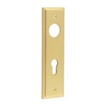 Burlington II Lever Plate Choices