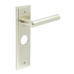Burlington Richmond Lever on Back Plate