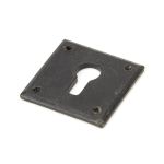 Avon Escutcheon