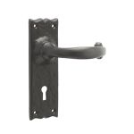 Antique Regal Suite Lever on Back Plate