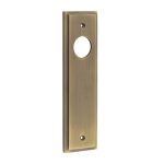Burlington II Lever Plate Choices